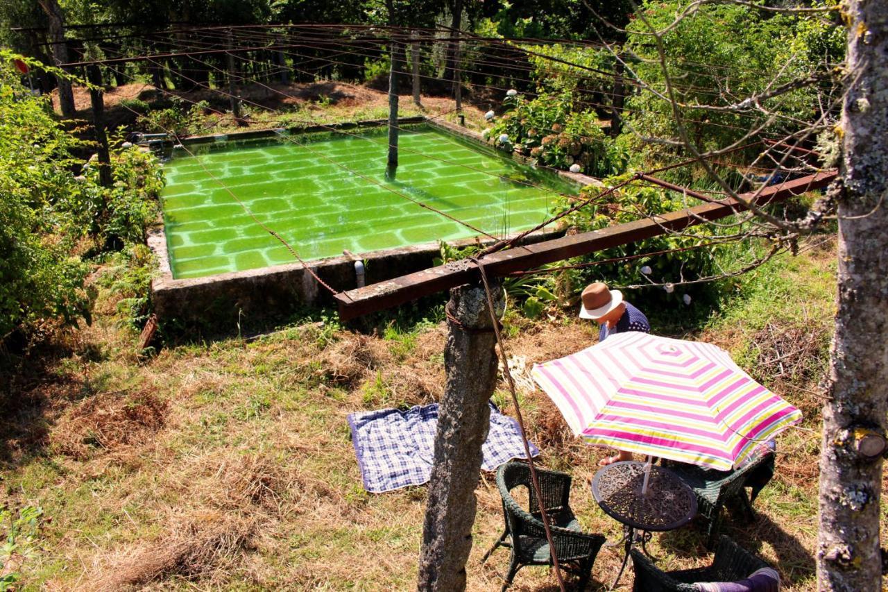 Chalé da Quinta Lavoura da Bouça - Fruta Bio Castelbuono Extérieur photo