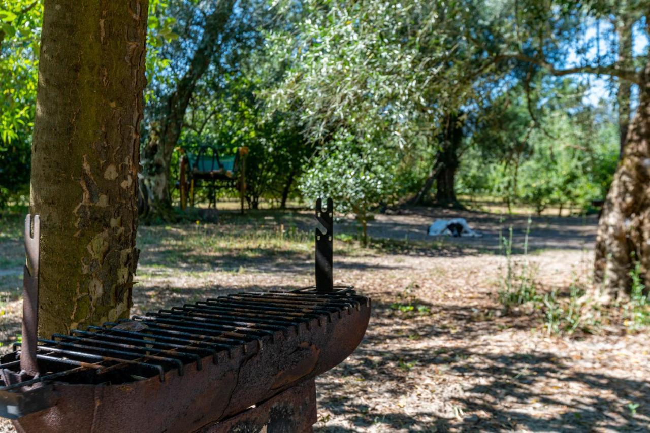Chalé da Quinta Lavoura da Bouça - Fruta Bio Castelbuono Extérieur photo