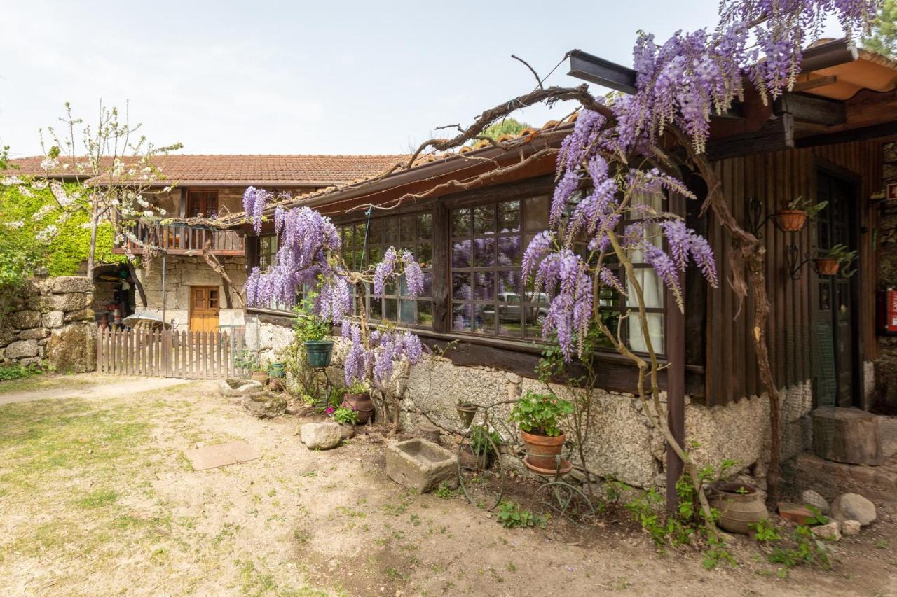 Chalé da Quinta Lavoura da Bouça - Fruta Bio Castelbuono Extérieur photo