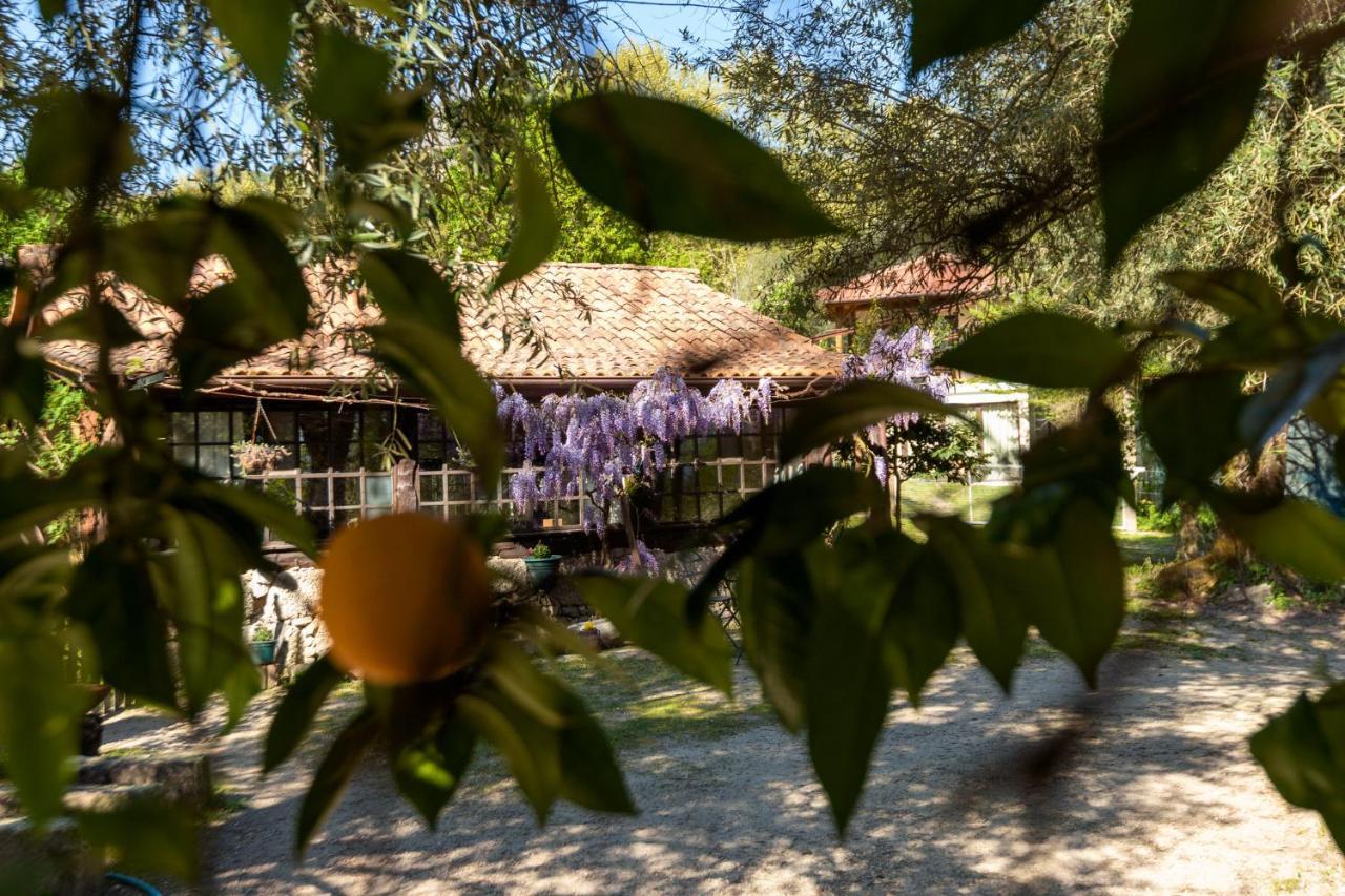 Chalé da Quinta Lavoura da Bouça - Fruta Bio Castelbuono Extérieur photo
