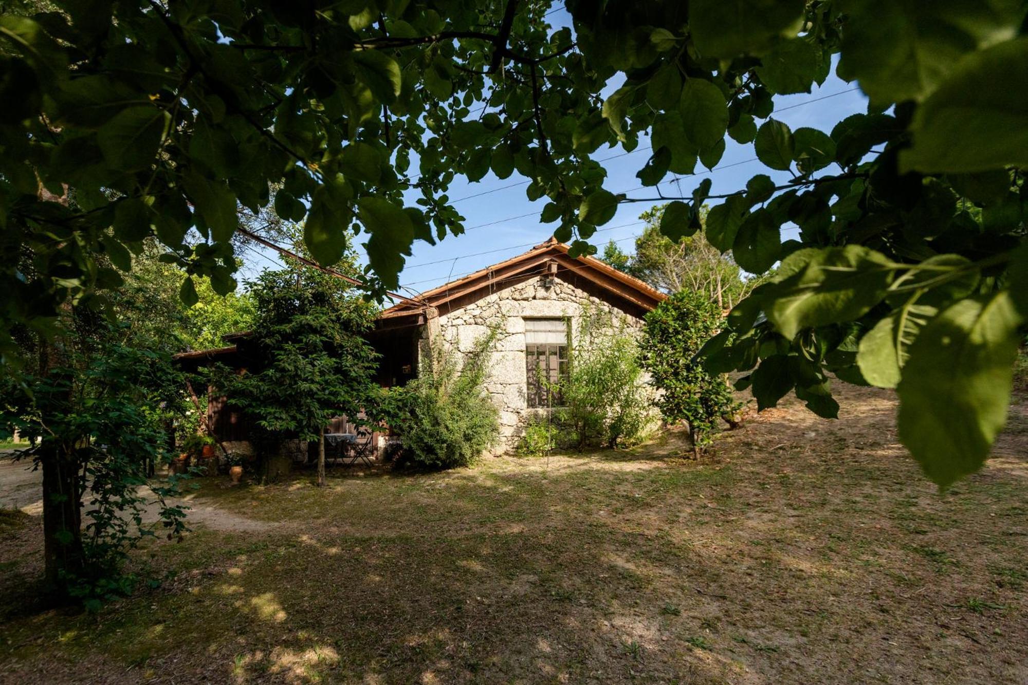 Chalé da Quinta Lavoura da Bouça - Fruta Bio Castelbuono Extérieur photo