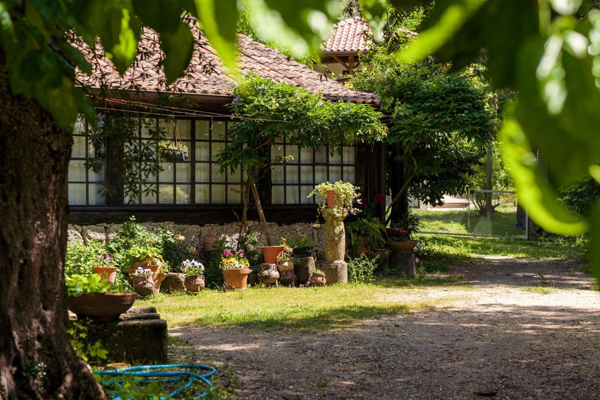 Chalé da Quinta Lavoura da Bouça - Fruta Bio Castelbuono Extérieur photo
